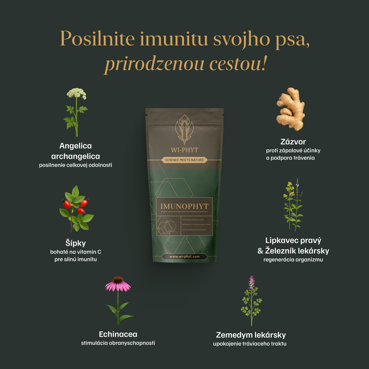 IMMUNOPHYT für Hunde
